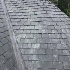 A close-up view of a gray slate tiled roof with a central ridge and some white marks. A builder and scaffolding are visible at the top edge, with lush green trees in the background—ideal for building maintenance projects.